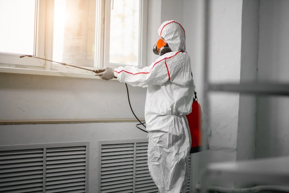 Professional mold remediation services in Aberdeen, OH